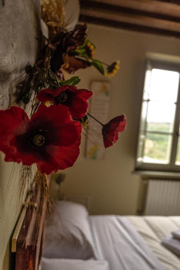 Agriturismo L'Olmo San Gimignano Extérieur photo