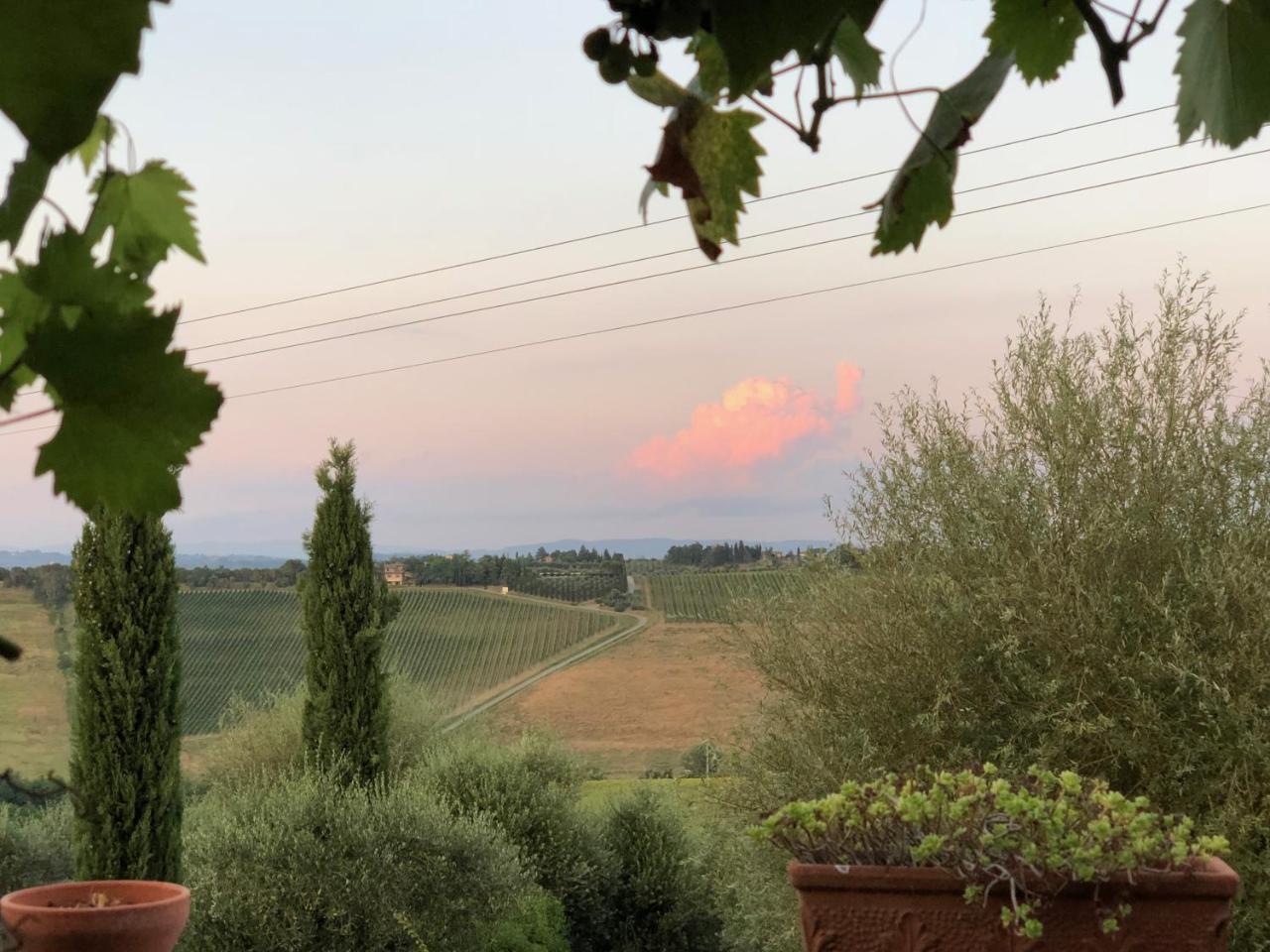 Agriturismo L'Olmo San Gimignano Extérieur photo