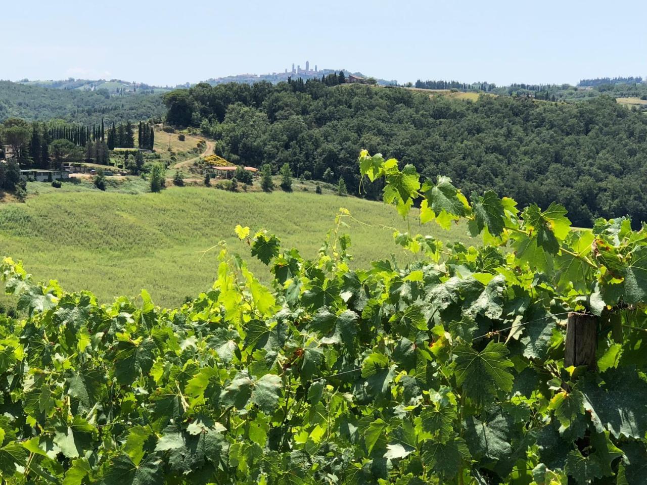 Agriturismo L'Olmo San Gimignano Extérieur photo
