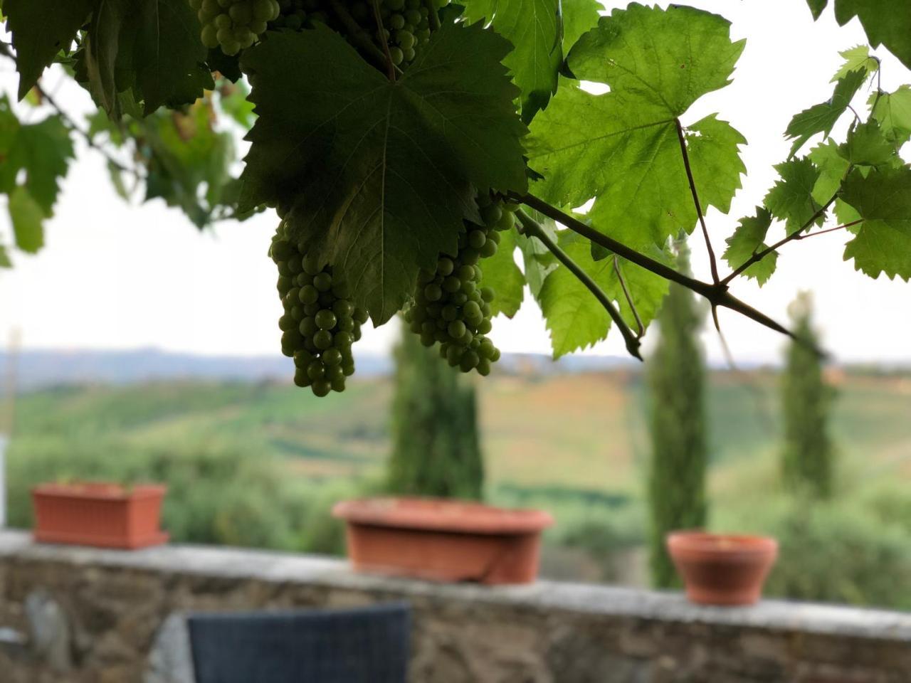 Agriturismo L'Olmo San Gimignano Extérieur photo