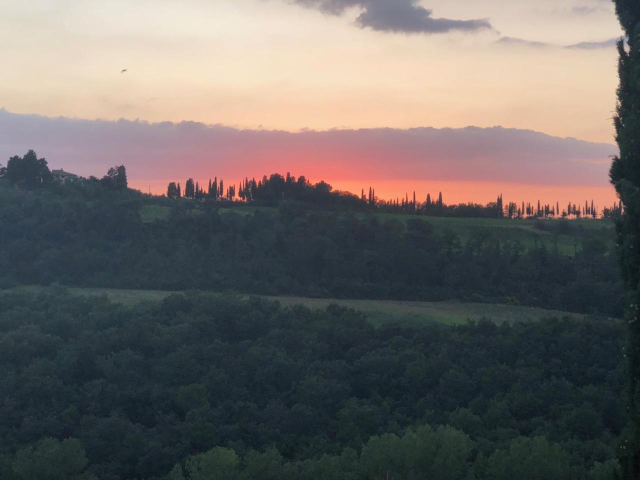 Agriturismo L'Olmo San Gimignano Extérieur photo