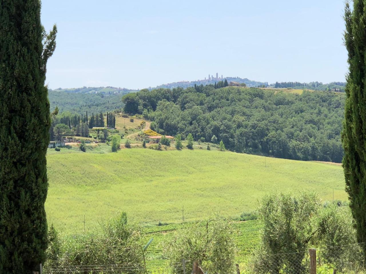 Agriturismo L'Olmo San Gimignano Extérieur photo